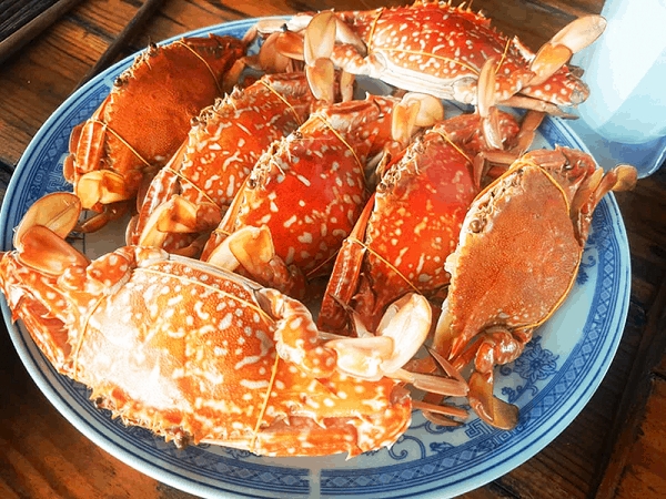 Än gì á» Äâu ngon khi du lá»ch Sầm SÆ¡n/ Món ngon Äặc sản Sầm SÆ¡n, Äá»a chá» ngon rẻ