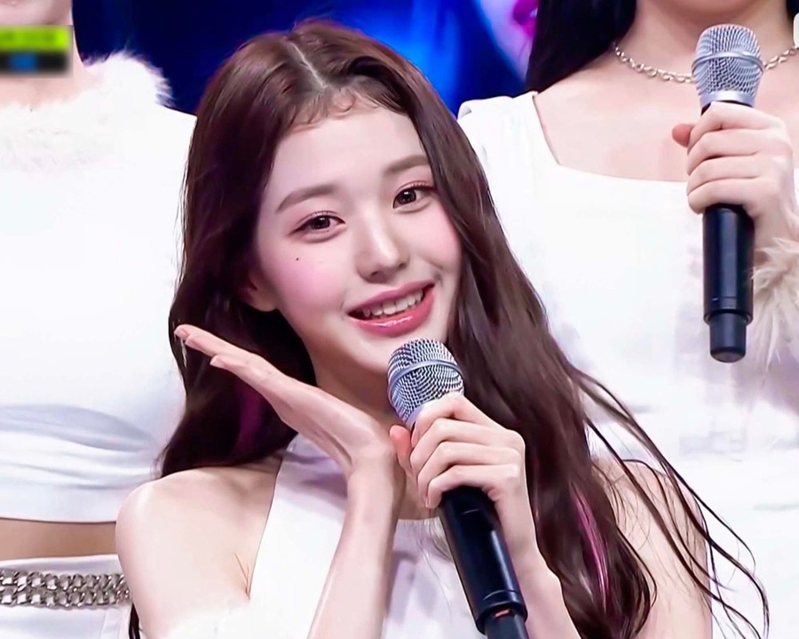 Dù fan không thích nhưng chẳng thể phủ nhận nhan sắc cô nàng vẫn "cân" nó một cách dễ dàng. (Ảnh: Allkpop)